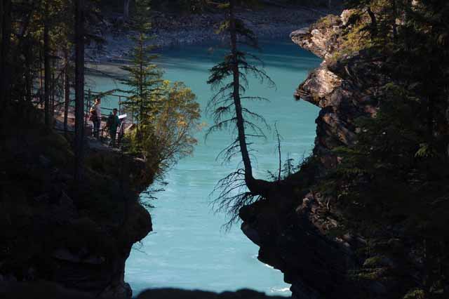 Athabasca Falls